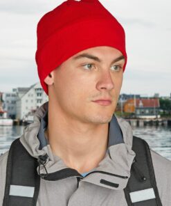 Polar Beanie