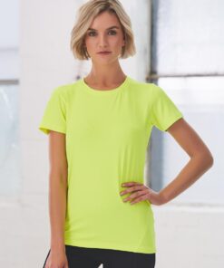 Ladies' Cooldry Stretch Tee