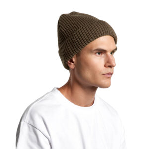 Gauge Beanie