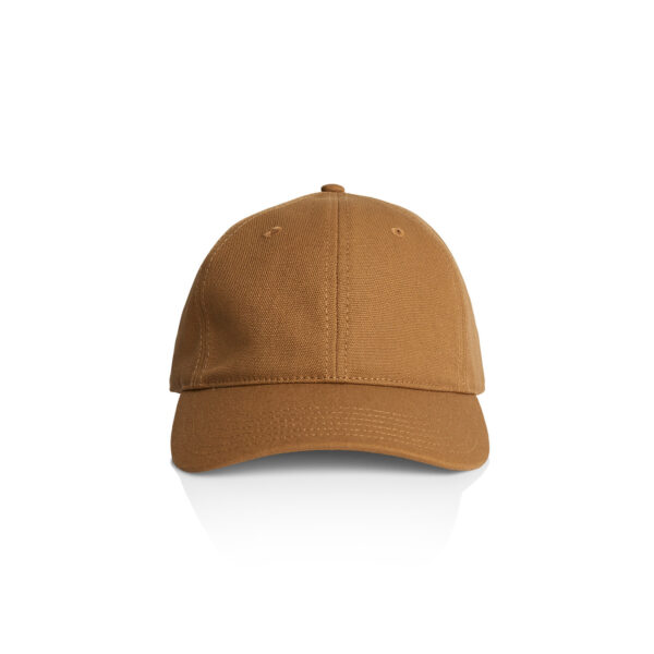 Access Canvas Cap