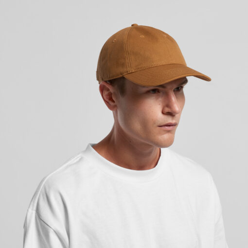 Access Canvas Cap