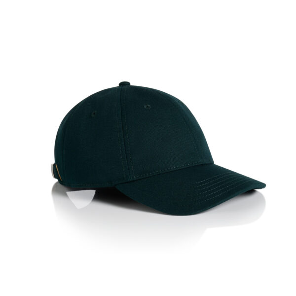 Access Canvas Cap