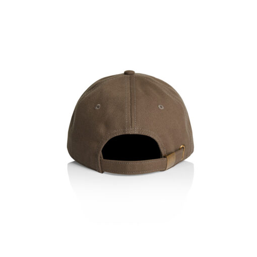 Access Canvas Cap