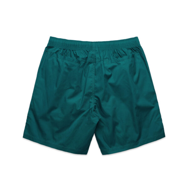 Beach Shorts 17"