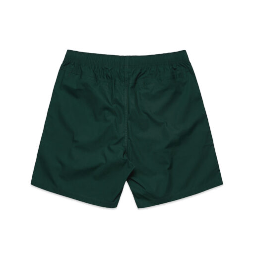 Beach Shorts 17"