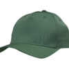 Premium Pioneer Sports Twill Cap